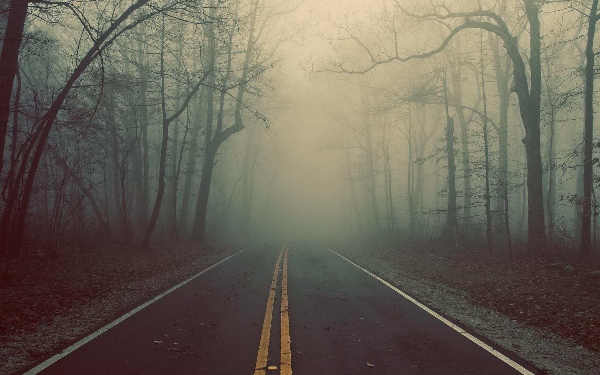 Foggy Road Landscape - Photography Wallpapers on Inspirationde